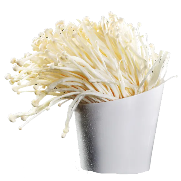 Enoki