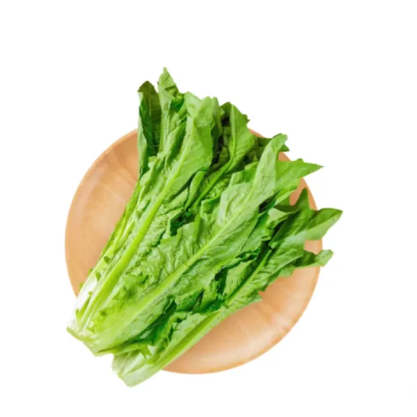 Lechuga china