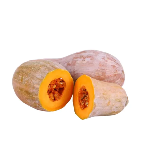 Calabaza castaña